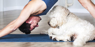 Iyengar Yoga Amsterdam